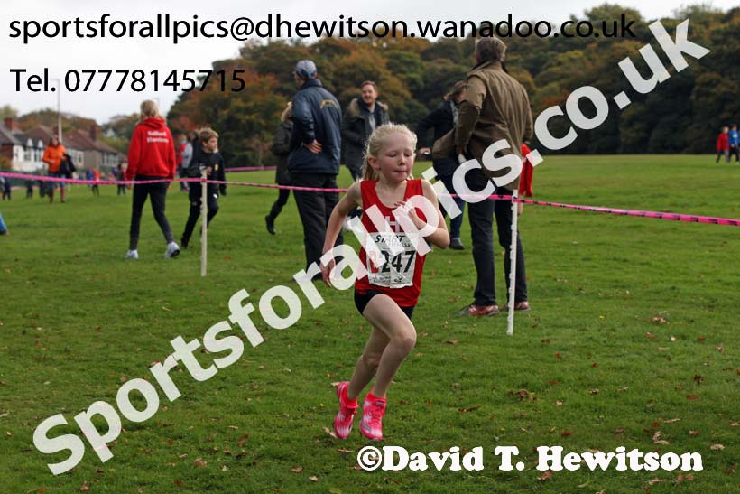 Girls under-11s Northern Cross Country Relays, Graves Park, Sheffield. Photo: David T. Hewitson/Sports for All Pics